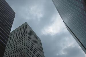 文京区での住まい探しは仲介手数料無料の不動産屋で