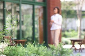 香川の特徴を理解してから家を建てよう