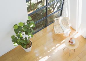 【徹底解説】横須賀市で外壁塗装を成功させるためのポイントと信頼できる業者選び