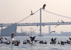 埼玉から全国へ・高品質の地盤改良工事