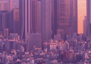 2026年最新：ジップライン施工のポイントと安全対策完全ガイド