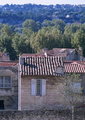 外壁塗装の費用を徹底解説！信頼できる業者選びと見積もりのポイント