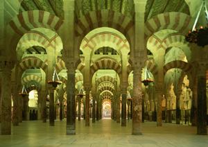 【完全ガイド】マンションの大規模修繕を成功させるための最適な対策と費用削減の秘訣